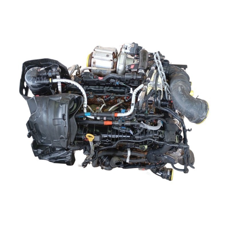 Mountain fox cushion