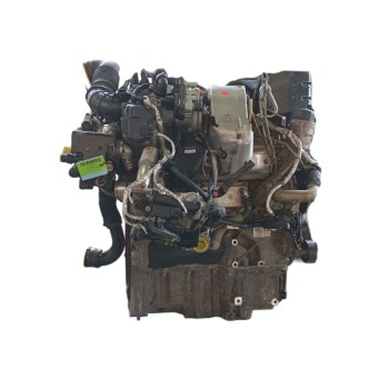 Mountain fox notebook