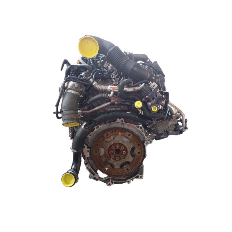 Brown bear printed sweater